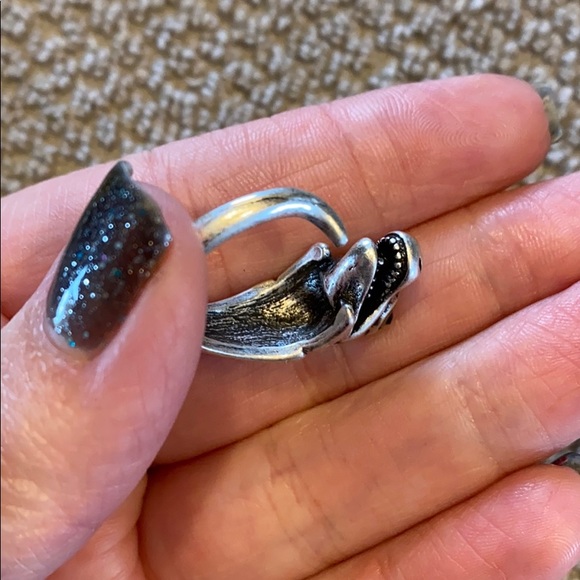 Dinosaur ring - Picture 6 of 6